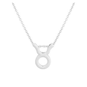 Astrology Necklace Taurus Silver Tone Constellation Necklace Gift Simple